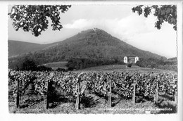 46107 - VILLA LUDWIGSHOHE UND RIETBURG AN DER WEINDTRASSE - Edenkoben