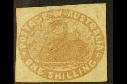 WESTERN AUSTRALIA  1854 1s Pale Brown, SG 4c, Mint Lightly Hinged With 4 Margins & Lovely Fresh Appearance. For More Ima - Other & Unclassified