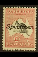1913-24  £2 Black & Rose, 'Roo, First Watermark, "Specimen" Handstamp, SG 16s, Never Hinged Mint. For More Images, Pleas - Sonstige & Ohne Zuordnung
