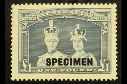 1938  £1 Bluish Slate "Robes" Overprinted "SPECIMEN", SG 178s, Never Hinged Mint. Very Scarce And Desirable. For More Im - Altri & Non Classificati