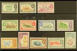 1953-62  Complete Definitive Set, SG 179/90, Never Hinged Mint (12 Stamps) For More Images, Please Visit Http://www.sand - Honduras Britannico (...-1970)