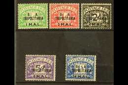 TRIPOLITANIA  POSTAGE DUES 1950 Overprints Complete Set, SG TD6/10, Never Hinged Mint, Fresh. (5 Stamps) For More Images - Italian Eastern Africa