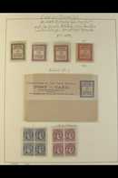 1892-1919 ATTRACTIVE MINT COLLECTION  On Album Pages. With 1892 "Federation" 1d, 1½d (2, White & Toned Paper) And 10d, P - Cook