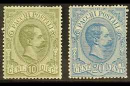 PARCEL POST  1884 10c Olive & 20c Blue, Sassone 1/2, Mi 1/2, 20c Blunt Perfs At Right, Otherwise Never Hinged Mint (2 St - Ohne Zuordnung