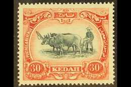 KEDAH  1921-32 30c Black & Rose Type II Watermark Crown To Left, SG 34b, Very Fine Mint, Fresh. For More Images, Please  - Altri & Non Classificati