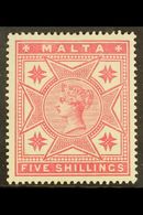 1886  5s Rose, SG 30 Fine Mint For More Images, Please Visit Http://www.sandafayre.com/itemdetails.aspx?s=595580 MALTA - Malta (...-1964)