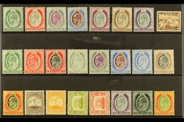 1903-1914 COMPLETE KEVII VERY FINE MINT COLLECTION  On A Stock Card, All Different, Comprising 1903-04 Set & 1904-14 Set - Malta (...-1964)