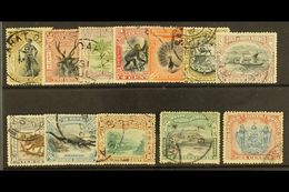 1897-02  Pictorials Set (one Of Each Value) Complete, SG 92/109, Fine Used (12 Stamps) For More Images, Please Visit Htt - Nordborneo (...-1963)