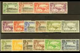 1938-44  Pictorial Definitive Set, SG 188/200, Very Fine Mint (16 Stamps) For More Images, Please Visit Http://www.sanda - Sierra Leone (...-1960)
