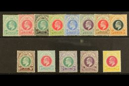 NATAL  1902 - 04 Ed VII Postage Revenue Set To 4s Complete, SG 127/38, Very Fine And Fresh Mint. (13 Stamps) For More Im - Ohne Zuordnung