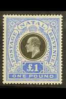 NATAL  1902 £1 Black And Bright Blue, SG 142, Very Fine Mint. For More Images, Please Visit Http://www.sandafayre.com/it - Ohne Zuordnung