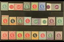 NATAL  1902-1904 FINE MINT COLLECTION On A Stock Card, All Different, Includes 1902-03 Set To 2s6d Incl 1d, 3d & 6d Plat - Ohne Zuordnung
