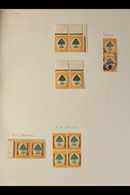 1926-46 6D ORANGE TREE ISSUES - SPECIALISED COLLECTION  Of Largely Fine Mint Written Up On Pages, With Some In Positiona - Ohne Zuordnung