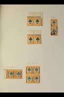 1926-46 6D ORANGE TREE ISSUES - SPECIALISED COLLECTION  Of Largely Fine Mint Written Up On Pages, With Some In Positiona - Unclassified