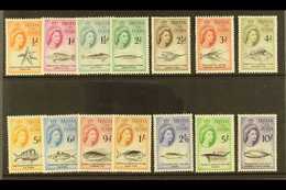 1960  Marine Life Definitive Set, SG 28/41, Never Hinged Mint (14 Stamps) For More Images, Please Visit Http://www.sanda - Tristan Da Cunha