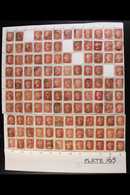 1864-79 PENNY RED PARTIAL PLATE RECONSTRUCTION  PLATE 165 - A Largely Complete Used Reconstruction With 227 Of The 240 C - Other & Unclassified