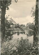 Kleinzerlang - Foto-AK Grossformat 60er Jahre - Verlag VEB Bild Und Heimat Reichenbach - Rheinsberg