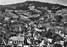 68-LAPOUTROIE- VUE DU CIEL MONTAGNE DU BAMBOIS - Lapoutroie