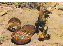 CPM De La MARTINIQUE - PECHEUR De La CARAVELLE (Trinité) - La Trinite