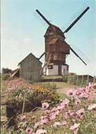 NORD - 59 - HONDSCHOOTE -CPSM GF Couleur  Hauteur - Moulin Des Flandres - Hondshoote