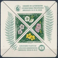 ** 1958-1959 Nemzetközi Filatéliai Szövetség Kongresszusa Blokk + Kisív (12.500) - Other & Unclassified