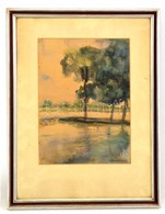 Bernáth Jelzéssel: Vízparti Fák. Akvarell, Papír, üvegezett Keretben, 29×21 Cm - Sonstige & Ohne Zuordnung