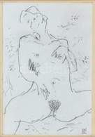 Biró Gábor (1955-): Erotikus Ceruzarajz. Jelzett. Üvegezett Keretben. 11x15 Cm - Sonstige & Ohne Zuordnung