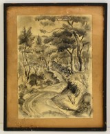 Mednyánszky Jelzéssel: Erdei ösvény. Szén, Papír, üvegezett Keretben, 42×30 Cm - Sonstige & Ohne Zuordnung