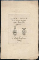 1827 A Brogyányi és A Marczibányi Nemzetség Címere, Rézmetszet, Papír, Függelék A Magyar Pantheonhoz, 14,5×10,5 Cm - Estampes & Gravures