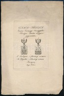 1827 A Szallopek és A Heged?s Nemzetség Címere, Rézmetszet, Papír, Függelék A Magyar Pantheonhoz, 14,5×10,5 Cm - Stampe & Incisioni
