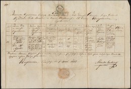 1855 Újvidék, Házassági Anyakönyvi Kivonat, Latin Nyelven, Okmánybélyeggel - Ohne Zuordnung