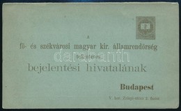 Cca 1890 Rend?rségi Kijelentési Lap, Díjjeggyel, Használatlan, Hajtásnál Szakadt - Ohne Zuordnung