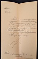 1911 Szamolányi Gyula Költ? Erd?számvizsgálói Kinevezése, Máramarossziget, Serényi Béla (1866-1919) Földm?velésügyi Mini - Ohne Zuordnung