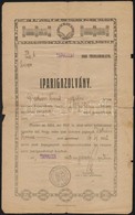 1922 Tapolca, A Tapolcai Járás F?szolgabírája által Kiállított Iparigazolvány - Ohne Zuordnung