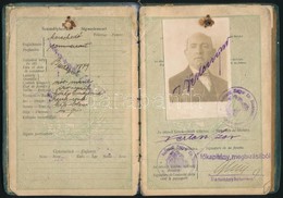 1923 A Magyar Királyság által Kiadott Fényképes útlevél, Bejegyzésekkel, Pecsétekkel / Hungarian Passport - Ohne Zuordnung