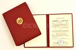 1989 Gépészmérnöki Aranydiploma Díszdobozban - Ohne Zuordnung