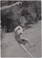 Cca 1932 Kinszki Imre (1901-1945): Játék, Pecséttel Jelzett Vintage Fotóm?vészeti Alkotás, 18x13 Cm - Sonstige & Ohne Zuordnung