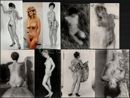 Cca 1978 Parti Lányok, Szolidan Erotikus Felvételek, 13 Db Vintage Fénykép, 10x15 Cm és 12x6,5 Cm Között - Sonstige & Ohne Zuordnung