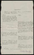 1914. Szeptember - Október, Levelek A 16/II. Hadtápzászlóalj 3. Sz. Tisztjeinek élelmezési Illetékelszámolási Vitájáról, - Sonstige & Ohne Zuordnung