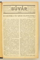 1938 A Búvár C. újság Teljes évfolyama Bekötve. - Ohne Zuordnung