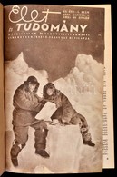 1956 Élet és Tudomány. XI. évf., Fél évfolyam, 1-26. Számok. Átkötött Félvászon-kötésben. - Ohne Zuordnung