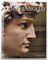 De Vecchi, Pierluigi: MIchelangelo. 2005, Aquila Könyvkiadó. Kiadói Kartonált Kötés, Papír Véd?borítóval, Jó állapotban. - Ohne Zuordnung