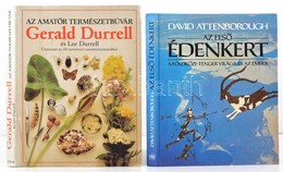 Vegyes Könyvtétel, 2 Db: 
Gerald Durrell-Lee Durrell: Az Amat?r Természetbúvár. Útmutató Az él? Természet Tanulmányozásá - Zonder Classificatie