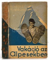 Bradford Washburn: Vakáció Az Alpesekben. Bp.,é.n., Singer és Wolfner, 160 P.+ 16 T. Kiadói Kartonált Papírkötés, Kopott - Ohne Zuordnung