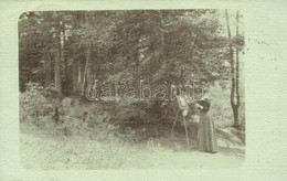 T2 1907 Bártfa, Bardejov, Bardiov; Fest? Hölgy Az Erd?ben / Painting Lady By The Forest. Photo - Ohne Zuordnung