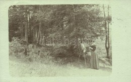 T2 1907 Bártfa, Bardejov, Bardiov; Fest? Hölgy Az Erd?ben / Painting Lady By The Forest. Photo - Non Classés