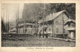 * T3 Koritnyica, Korytnica; Stefánia, Amerika és Orvos-Lak / Villas  (szakadás / Tear) - Unclassified