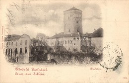 T2/T3 1900 Zsolna, Sillein, Zilina; Budatin Vár, Kastély. Nürnberg Ármin Kiadása / Budatín Castle (EK) - Ohne Zuordnung