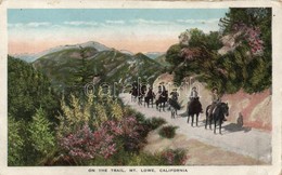 ** T3 Mount Lowe, California, Horses (fl) - Unclassified