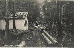** T1 Längenfeld (Tirol), Klamm, Logging - Unclassified